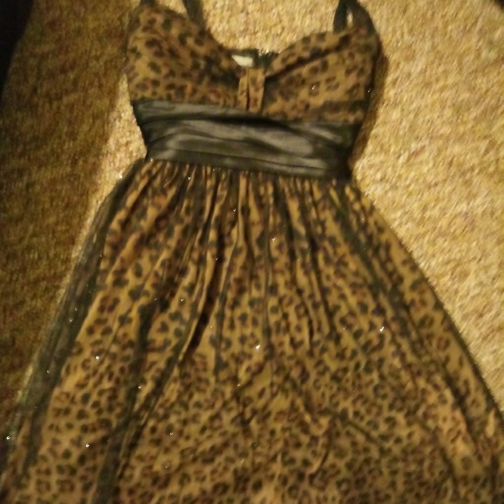 cheetah print dress